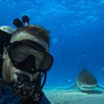 Go Pro Hero 12 Black Action Camera - Image 3